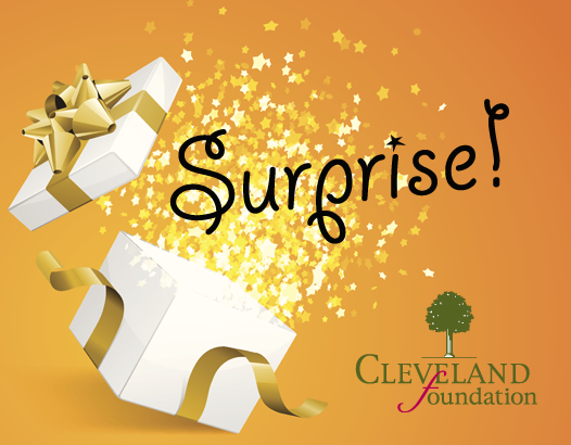 2015 Cleveland Foudation Surprise